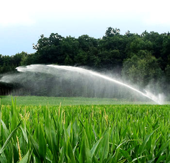 Spray Irrigation Technology for Corn
