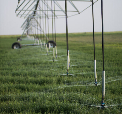 Irrigation of alfalfa in Canada