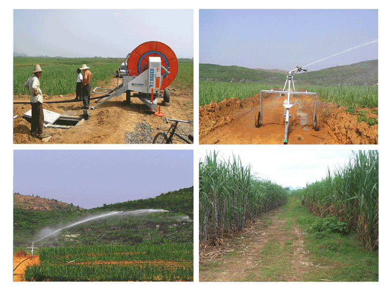 Report on Irrigation of Sugarcane with Sprinkler
