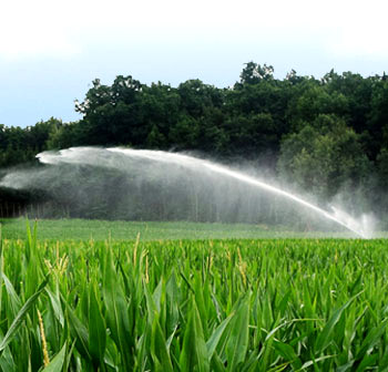Irrigation